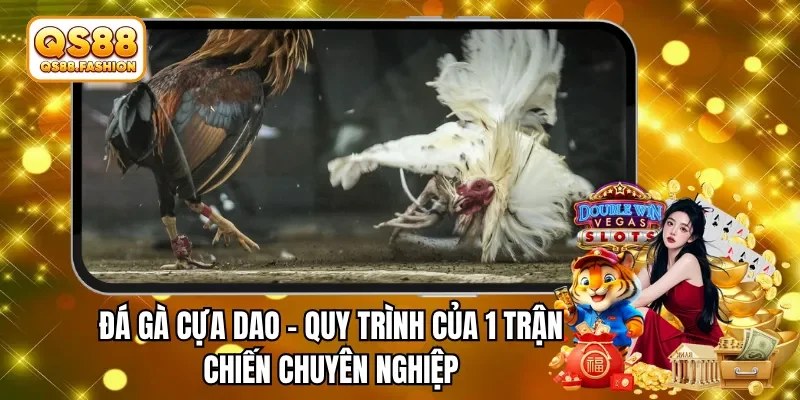 da ga cua dao